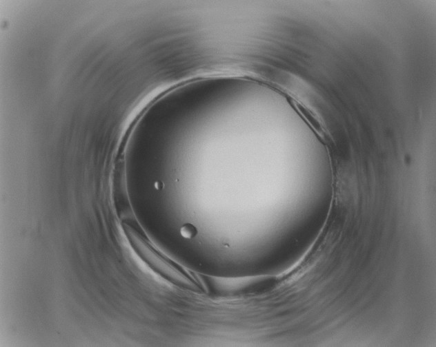 X0000064731484200602171629