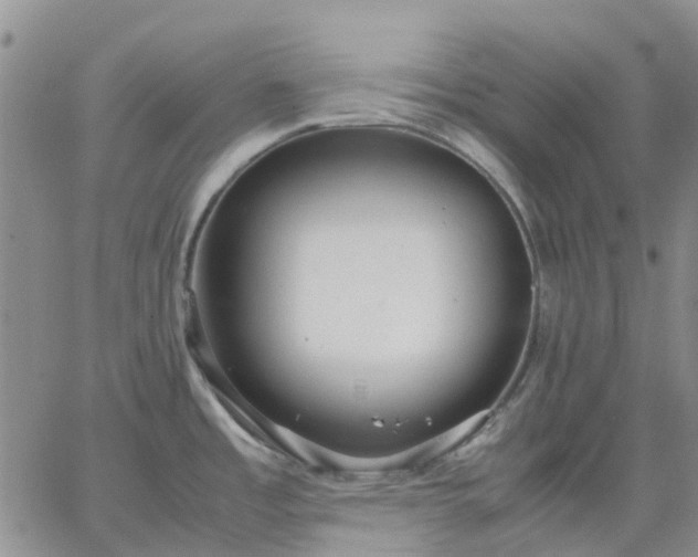 X0000064731485200602171629