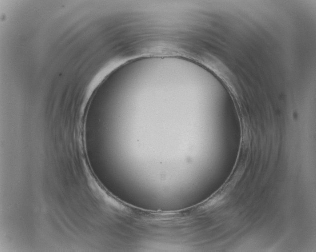 X0000064731486200602171629