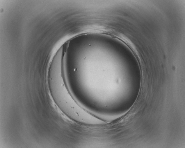 X0000064731488200602171629