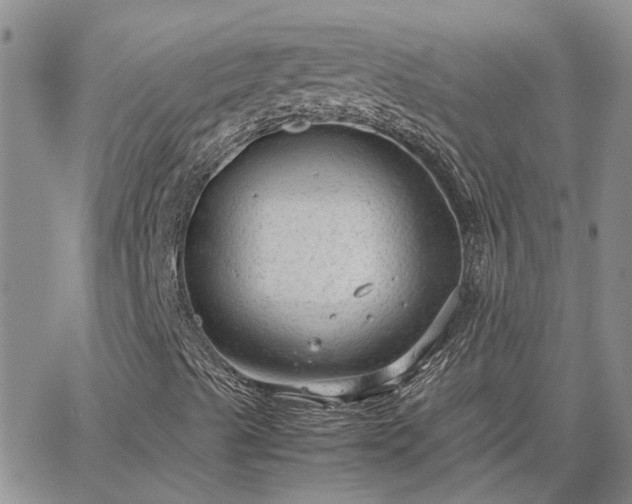 X0000064731489200602171628