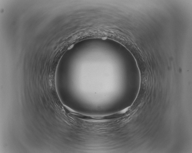 X0000064731490200602171628