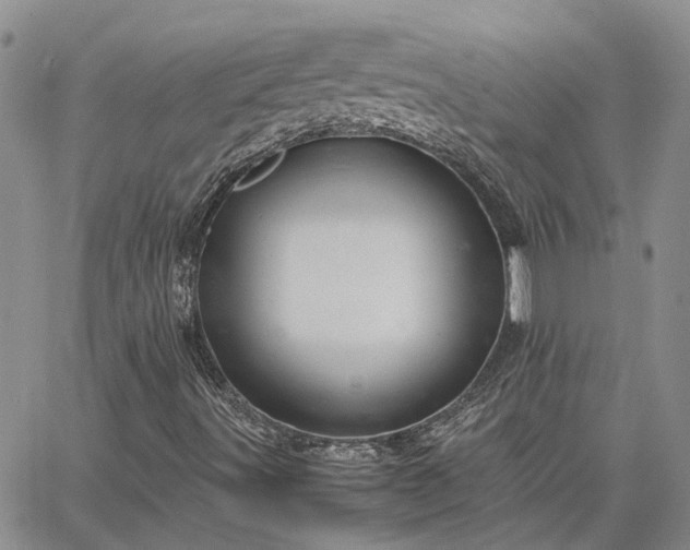 X0000064731491200602171628