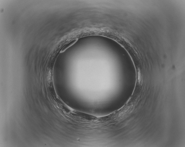 X0000064731492200602171628