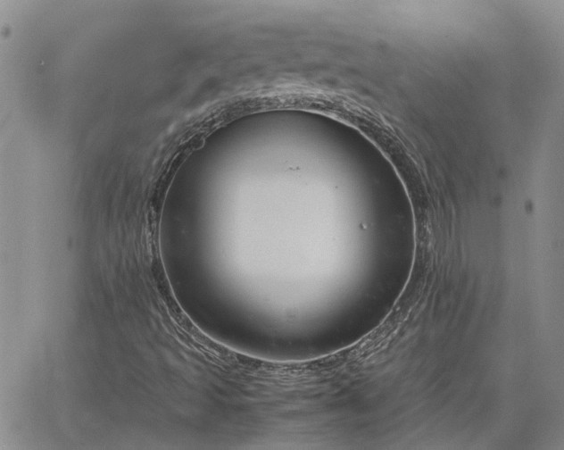 X0000064731493200602171628