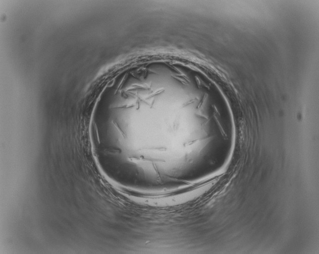 X0000064731494200602171628