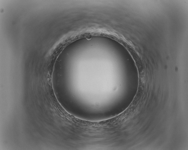 X0000064731495200602171628