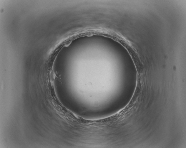 X0000064731496200602171628