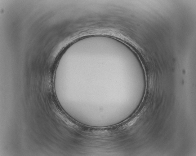 X0000064731498200602171628