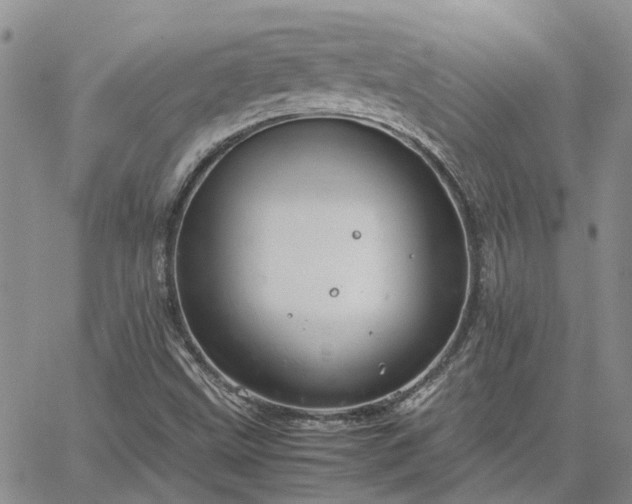 X0000064731499200602171628