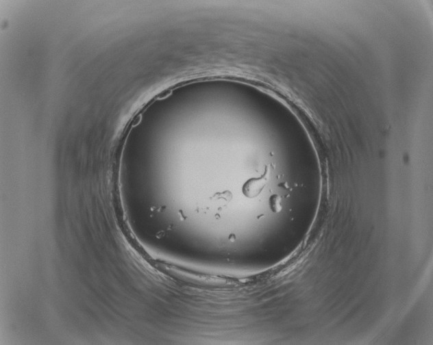 X0000064731500200602171628