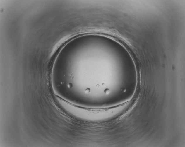 X0000064731501200602171628