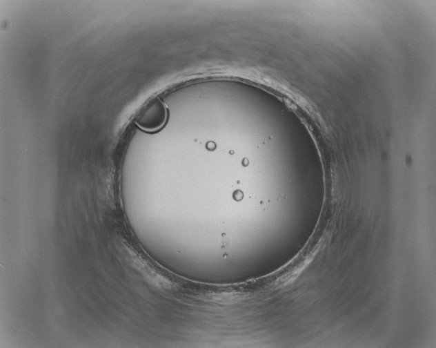 X0000064731502200602171628