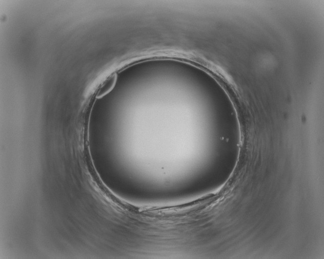 X0000064731504200602171628