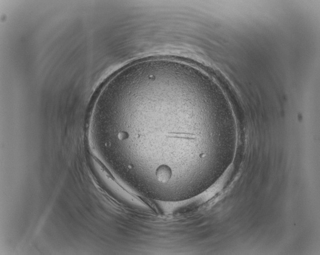 X0000064731505200602171628