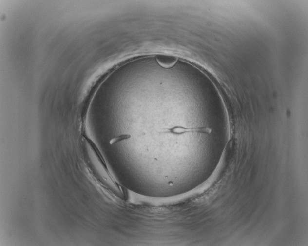 X0000064731507200602171628