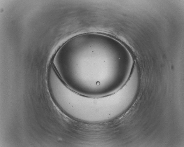 X0000064731508200602171628