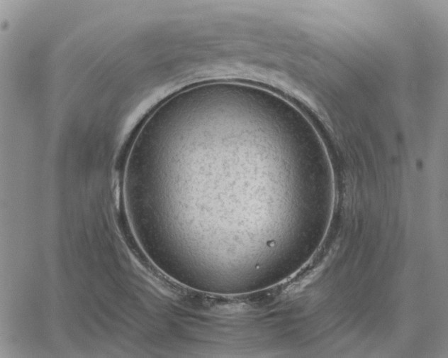 X0000064731509200602171628