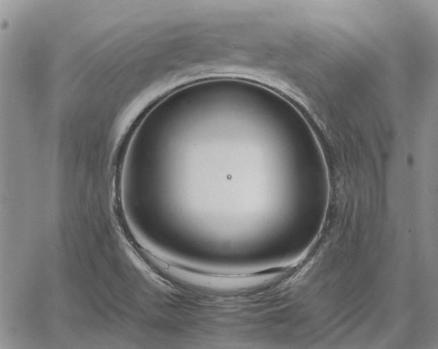 X0000064731511200602171628