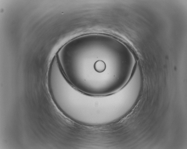 X0000064731512200602171628