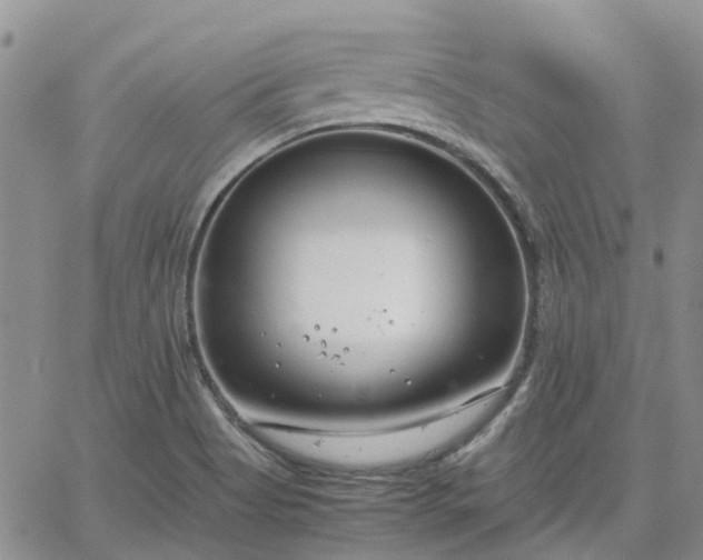 X0000064731513200602171628