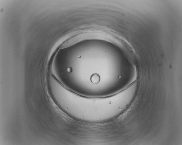 X0000064731514200602171628