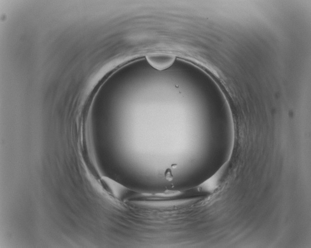 X0000064731515200602171628