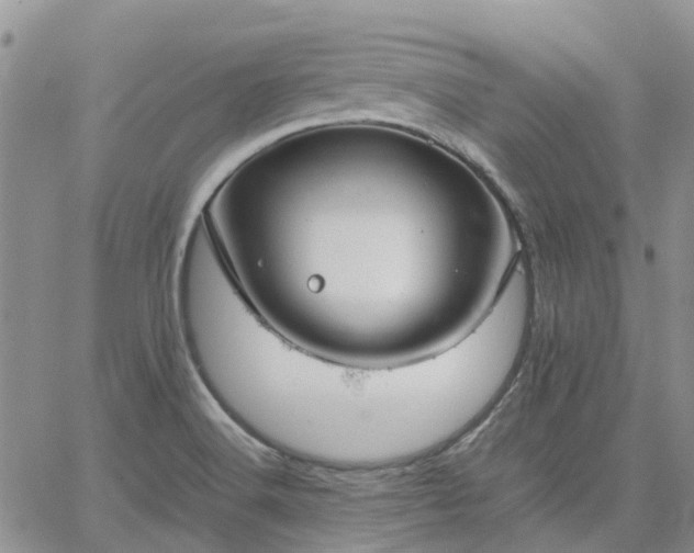 X0000064731516200602171628