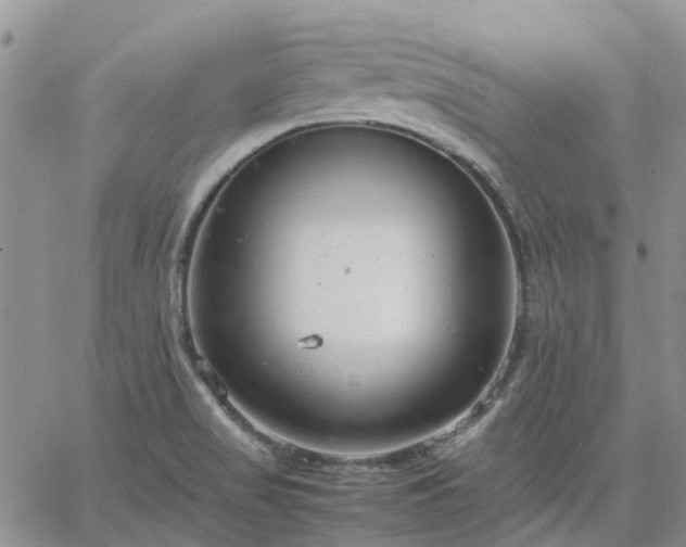 X0000064731517200602171628