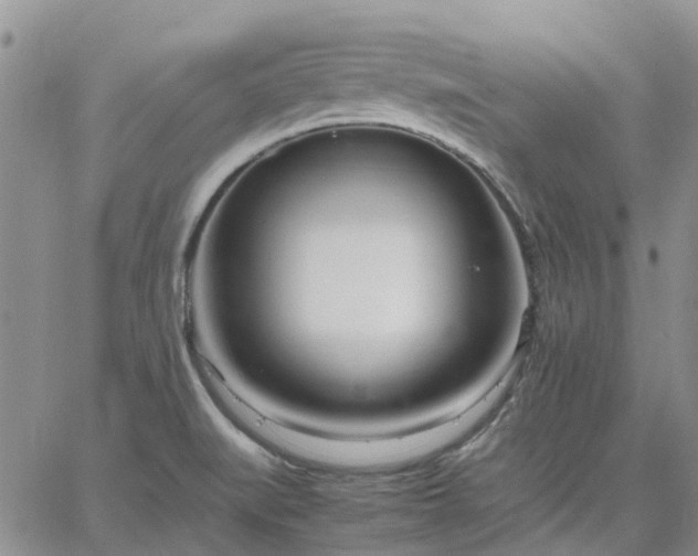 X0000064731519200602171628