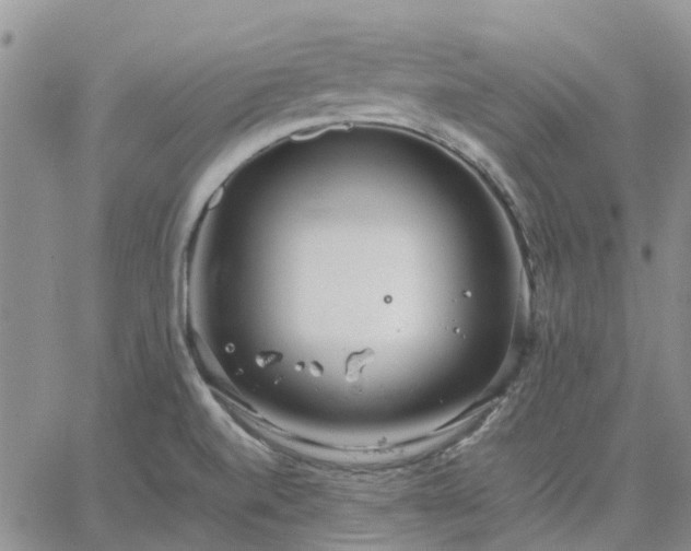 X0000064731520200602171628