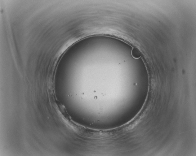 X0000064731521200602171628