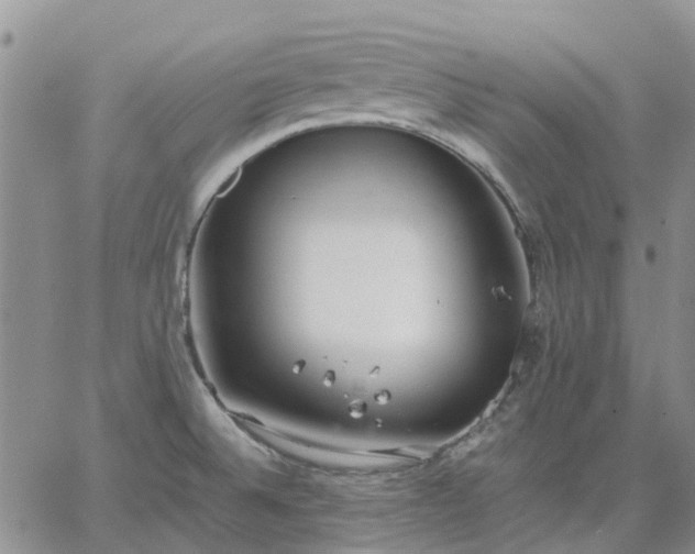 X0000064731524200602171629