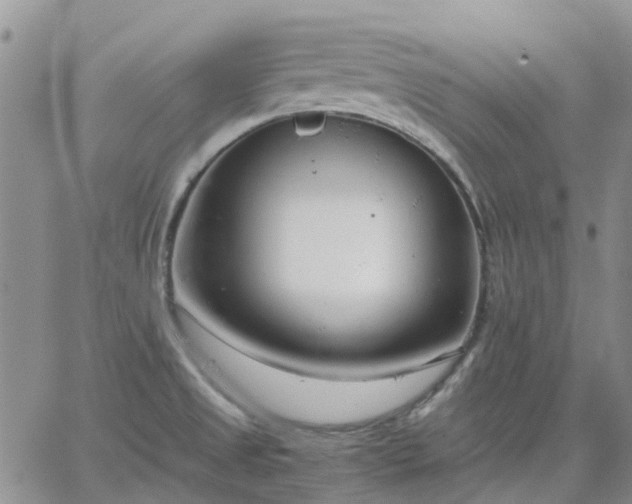 X0000064731525200602171629