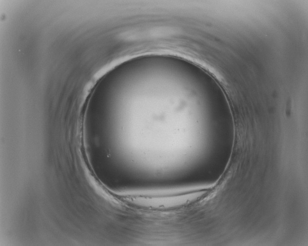 X0000064731526200602171629