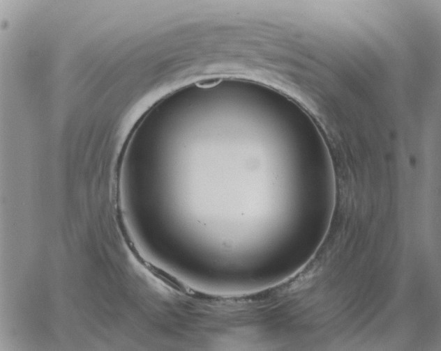 X0000064731527200602171629