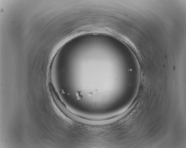 X0000064731528200602171629