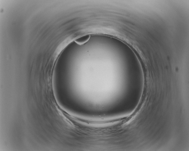 X0000064731529200602171629