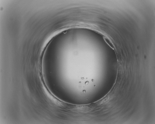 X0000064731531200602171629