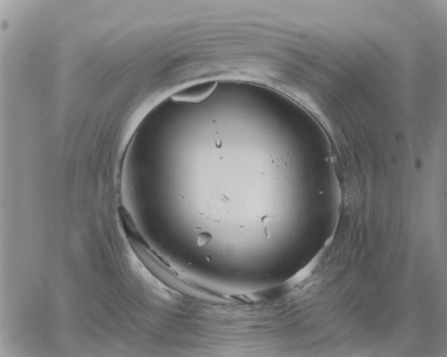 X0000064731532200602171629