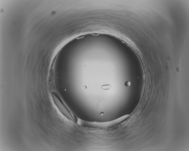 X0000064731536200602171629