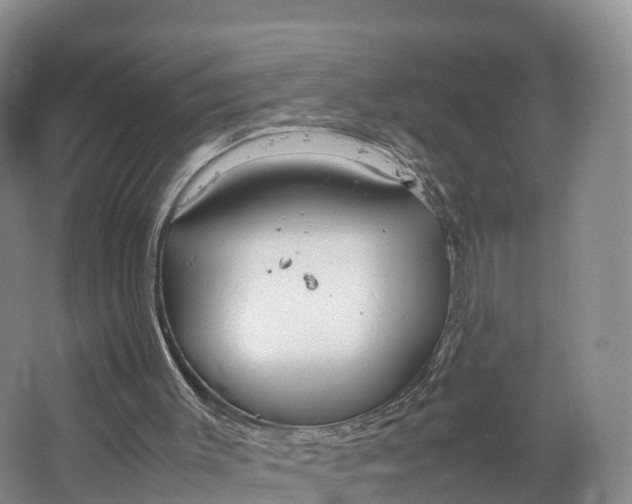 X0000064730003200602241736