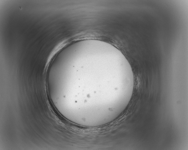 X0000064730004200602241736