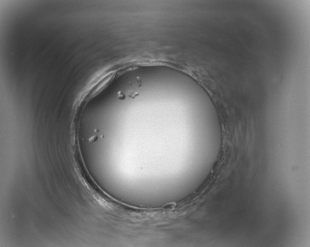 X0000064730005200602241736