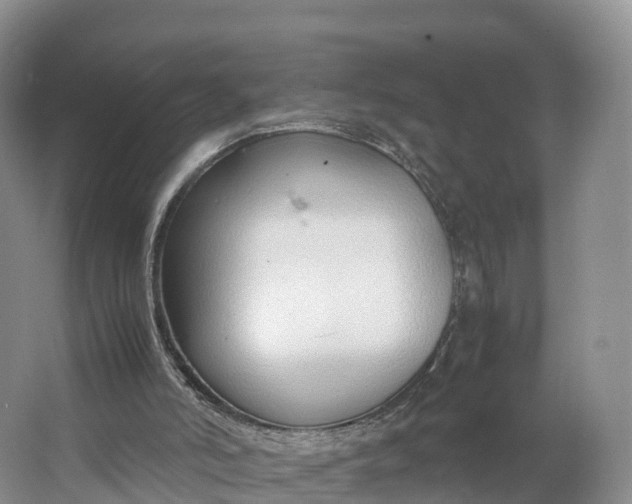 X0000064730006200602241736