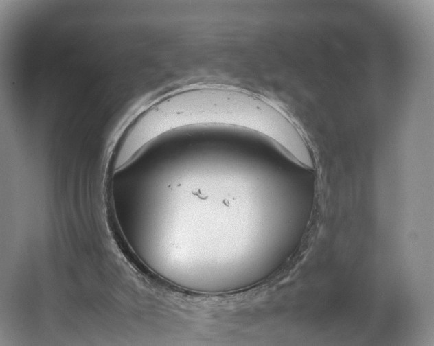 X0000064730007200602241736