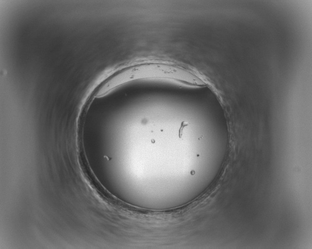 X0000064730008200602241736