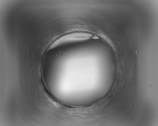 X0000064730009200602241736