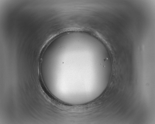 X0000064730011200602241736