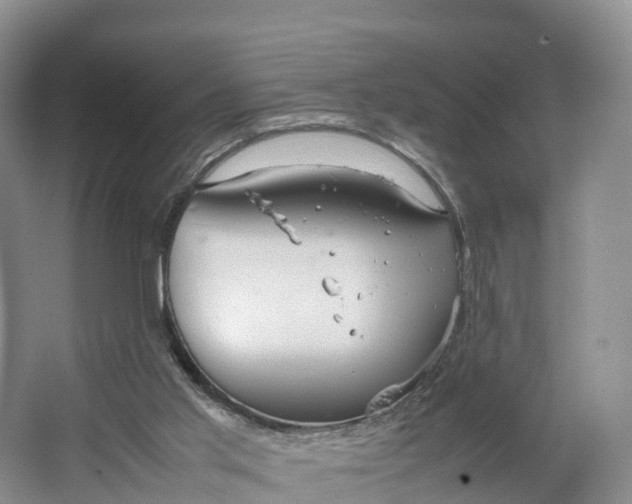 X0000064730013200602241736